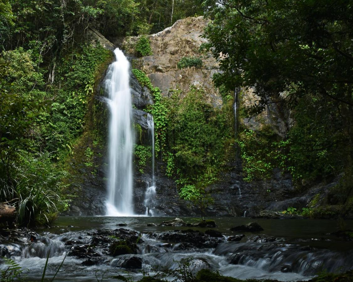 Cassowary Falls Gateway Daintree Bagian luar foto